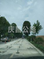 國道228壓漿現(xiàn)場(chǎng)